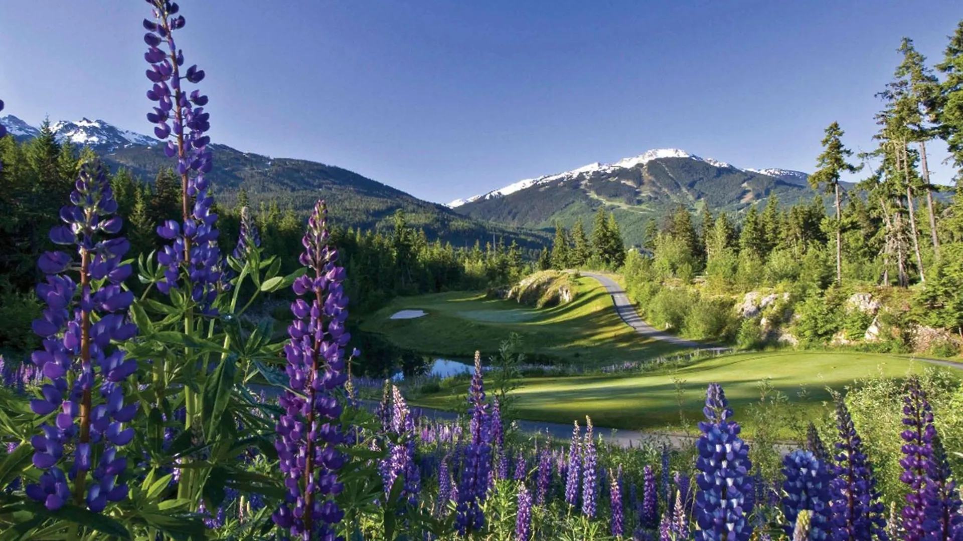 Fairmont Chateau Whistler 5*,  Canada